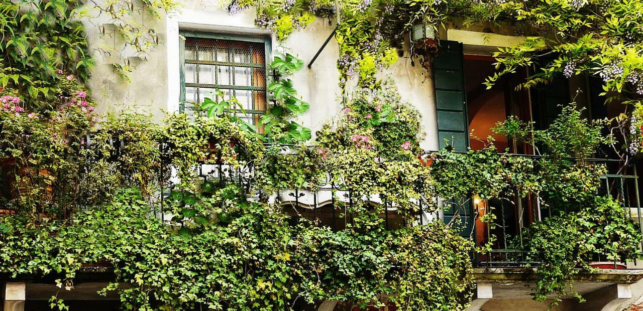 Venezia Ca' Dri Apartment Екстериор снимка